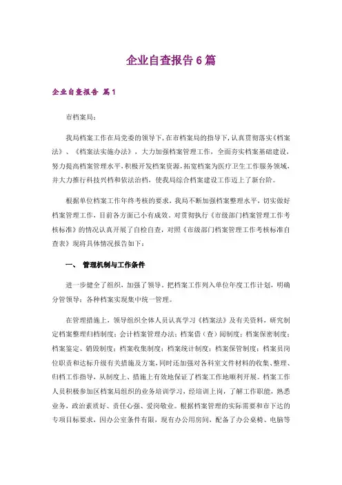 企业自查报告6篇