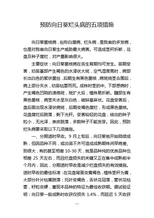 预防向日葵烂头病的五项措施