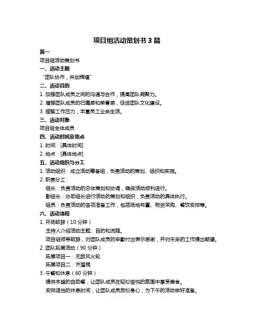 项目组活动策划书3篇