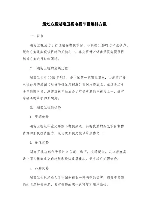策划方案湖南卫视电视节目编排方案