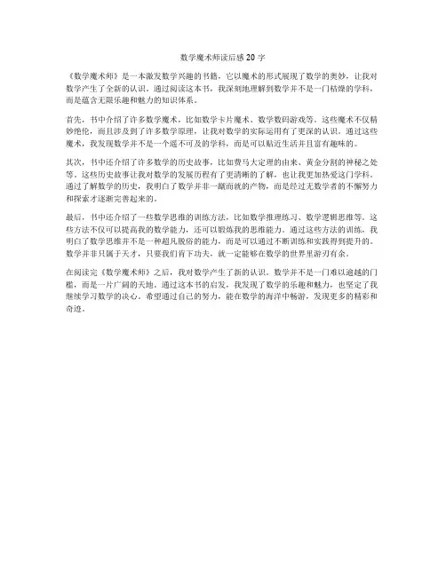 数学魔术师读后感20字
