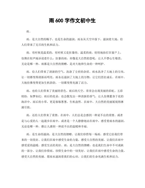 雨600字作文初中生