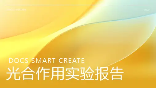 光合作用实验