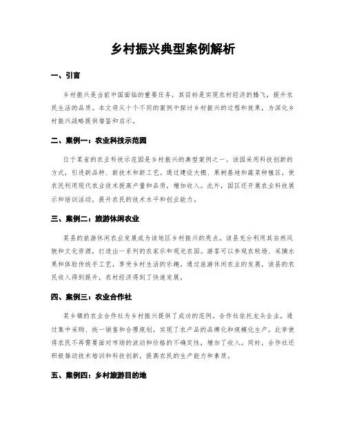 乡村振兴典型案例解析