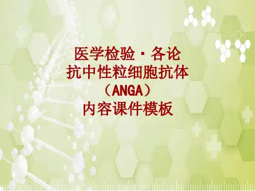医学检验·检查项目：抗中性粒细胞抗体(ANGA)_课件模板