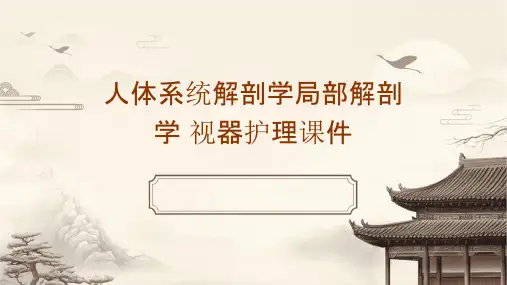 人体系统解剖学局部解剖学 视器护理课件