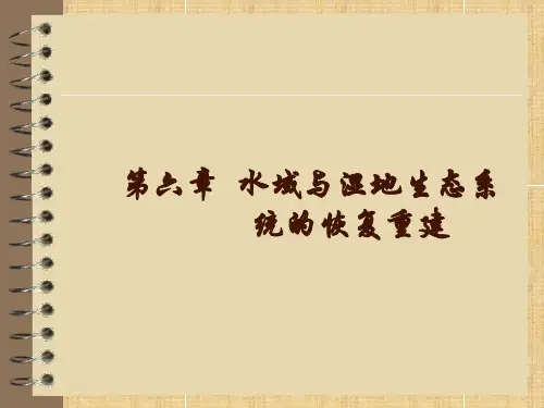 第六章 水域与湿地生态系统的恢复重建 恢复生态学课件