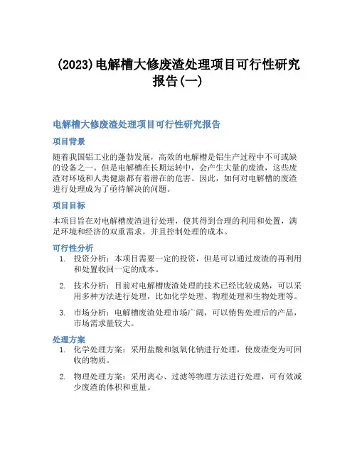 (2023)电解槽大修废渣处理项目可行性研究报告(一)