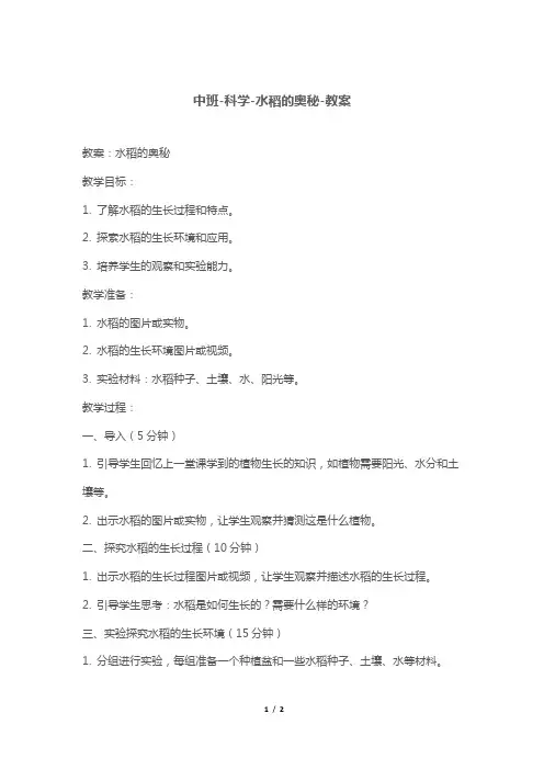 中班-科学-水稻的奥秘-教案