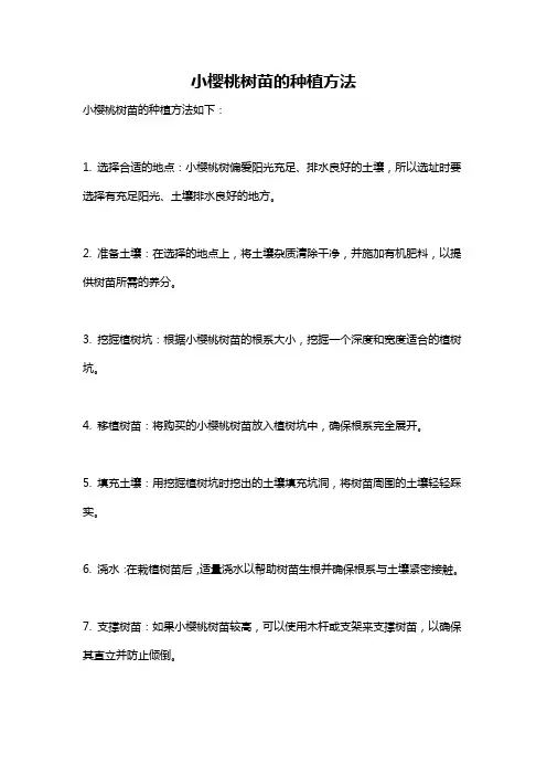小樱桃树苗的种植方法