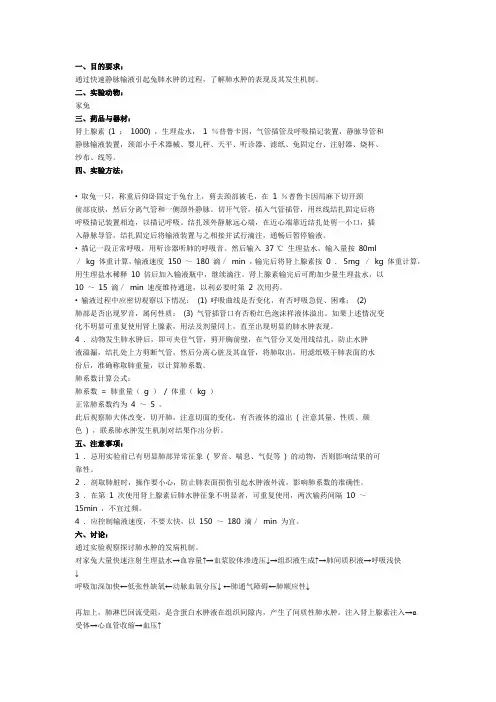 家兔实验性肺水肿