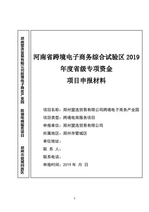跨境电子商务综合试验区项目申报材料