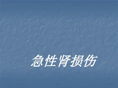 急性肾损伤PPT课件