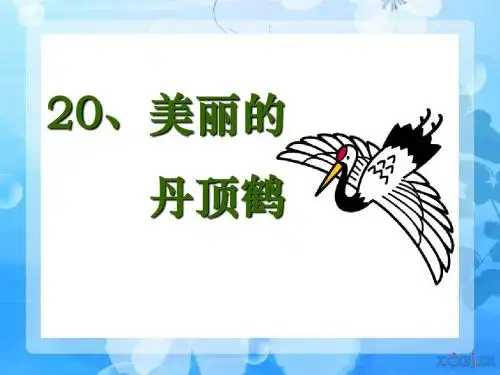 《美丽的丹顶鹤》PPT精选教学课件4