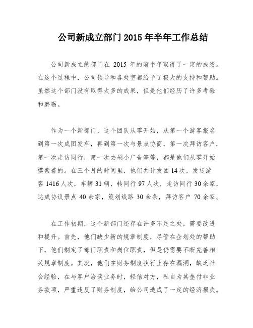 公司新成立部门2015年半年工作总结