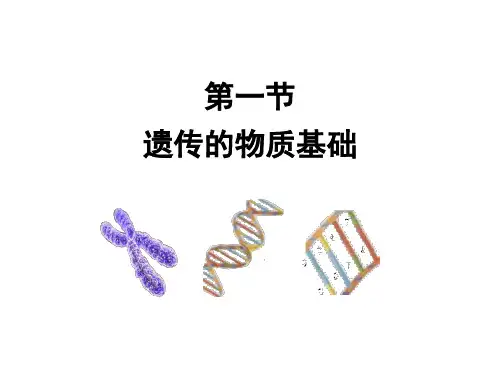 济南版八年级上册第四单元第四章第一节 遗传的物质基础 课件 (共14张PPT)