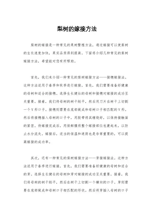 梨树的嫁接方法