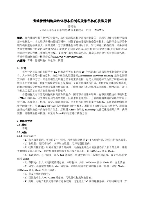青蛙骨髓细胞染色体标本的制备及染色体的核型分析