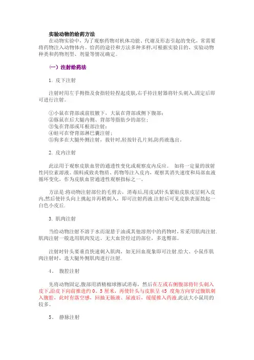实验动物的给药方法