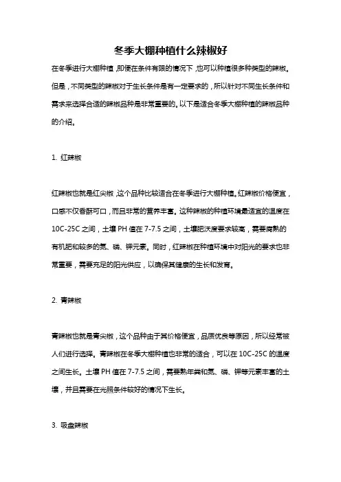 冬季大棚种植什么辣椒好