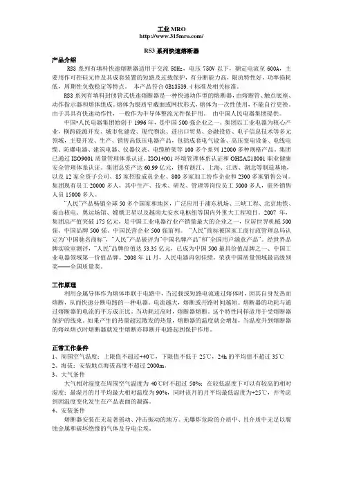 RS3系列快速熔断器