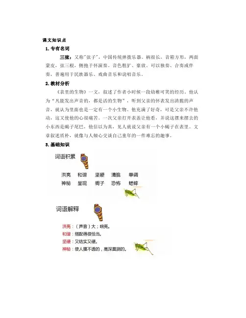 部编六下语文第16课《表里的生物》微课图文讲解+知识点习题