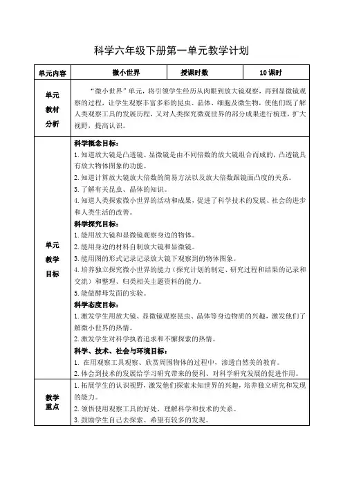 最新教科版科学六年级下册集体备课教案