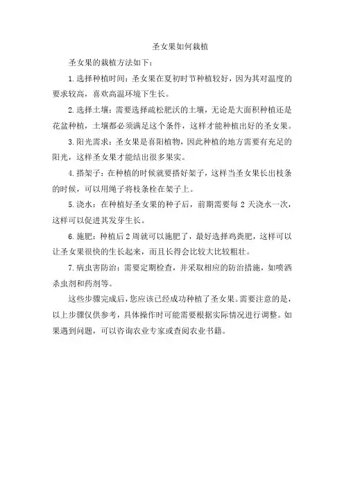 圣女果如何栽植