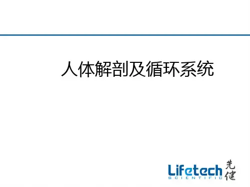 人体解剖及循环系统PPT课件