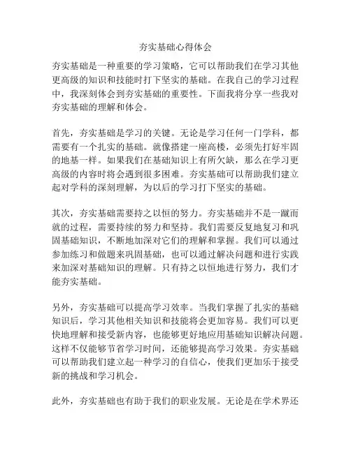夯实基础心得体会