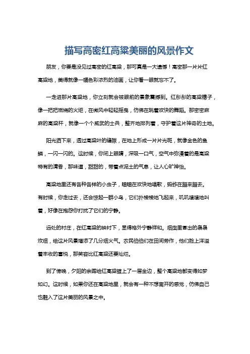 描写高密红高粱美丽的风景作文
