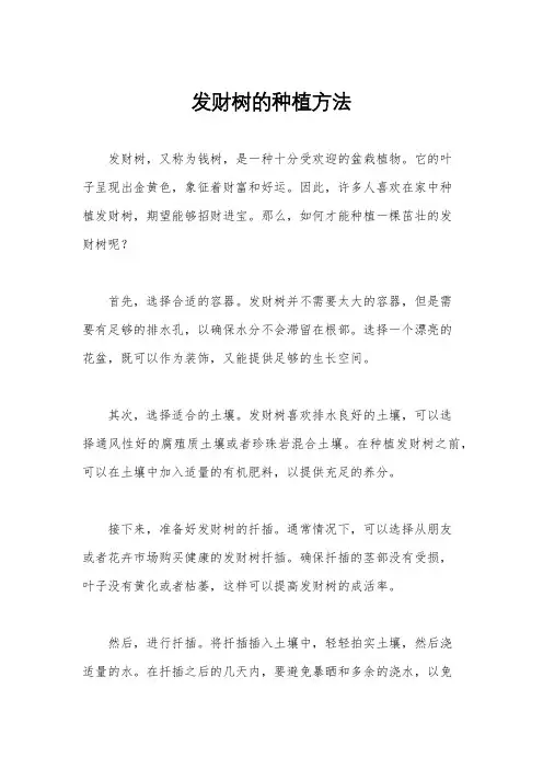 发财树的种植方法