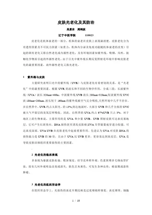 皮肤光老化及其防治