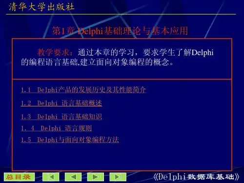 第1章DELHPI基础理论