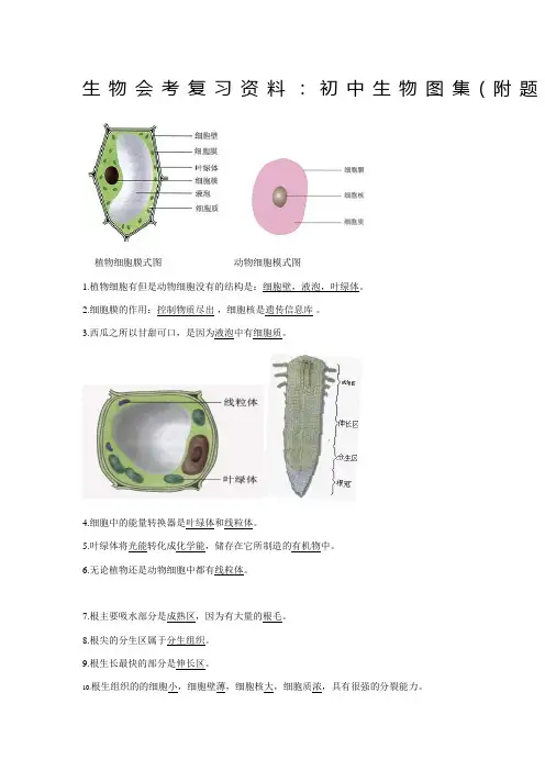 生物会考复习资料初中生物图集附题目人教