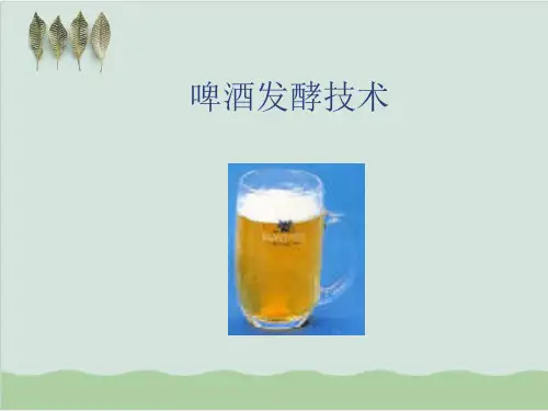 啤酒发酵技术PPT课件( 93页)