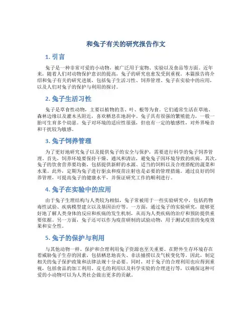 和兔子有关的研究报告作文