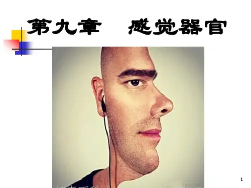 生理学第二版第9章感觉器官的功能