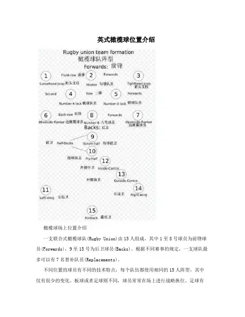 英式橄榄球位置介绍