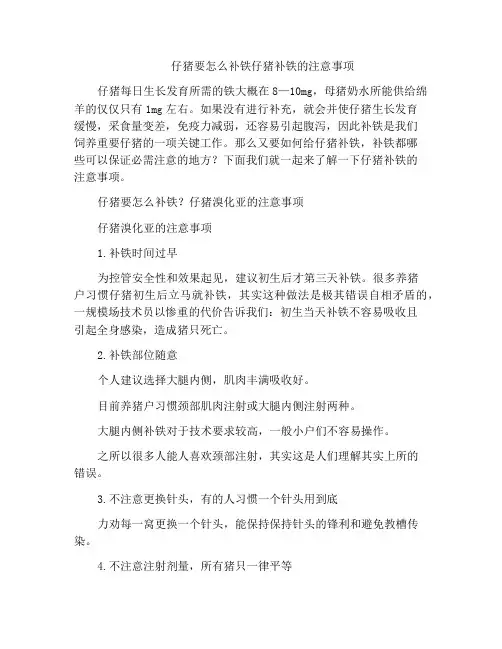 仔猪要怎么补铁仔猪补铁的注意事项