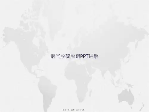 烟气脱硫脱硝讲解讲课文档