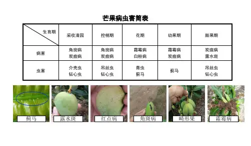 芒果病虫害防治手册