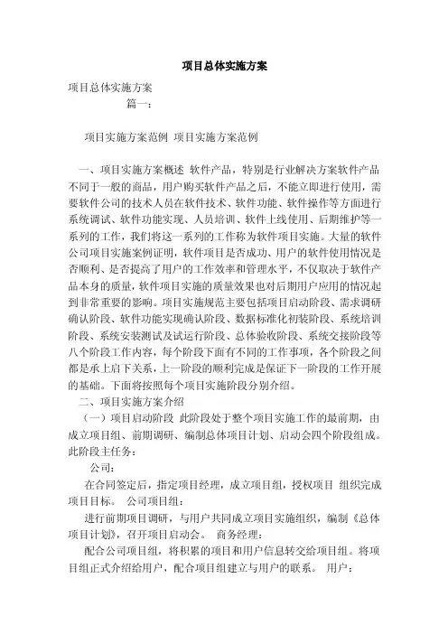 项目总体实施方案