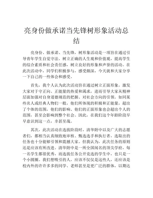 亮身份做承诺当先锋树形象活动总结