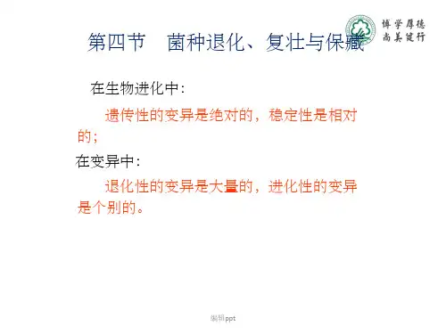 四节菌种退化复壮与保藏
