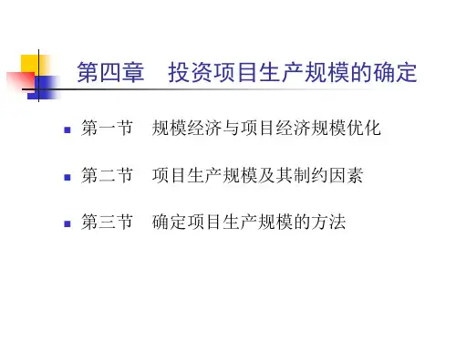 3投资项目的生产规模的确定