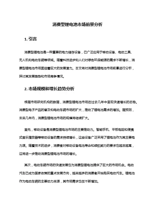 2024年消费型锂电池市场前景分析