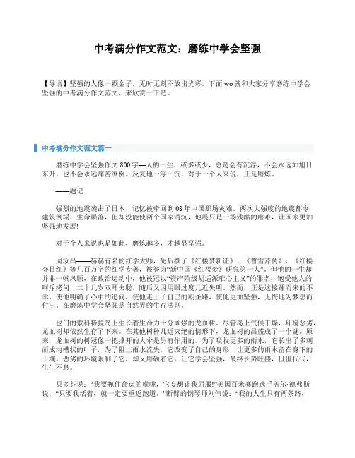 中考满分作文范文：磨练中学会坚强