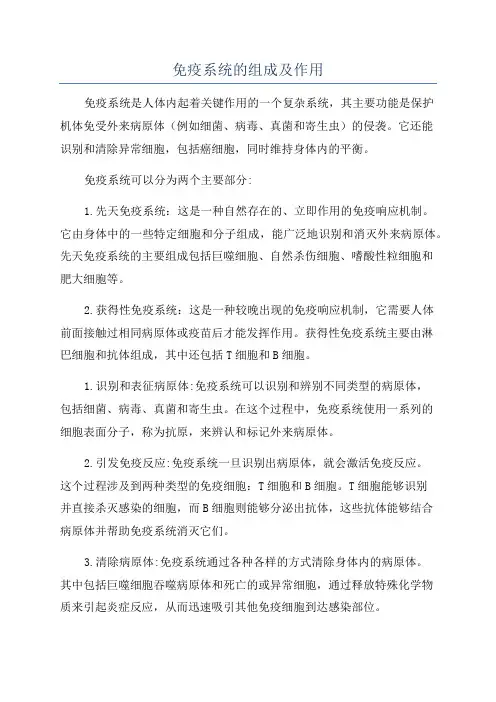 免疫系统的组成及作用