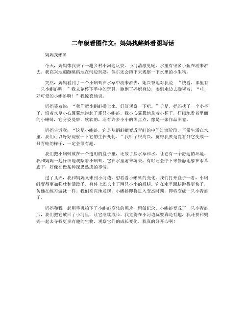 二年级看图作文：妈妈找蝌蚪看图写话